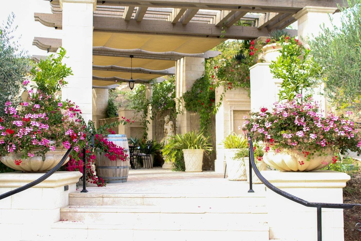Çiçekli saksılarla çevrili basamaklar ve pergola